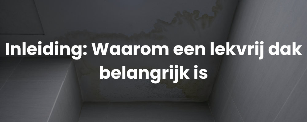 Inleiding: Waarom een lekvrij dak belangrijk is