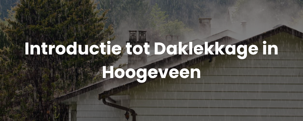 Introductie tot Daklekkage in Hoogeveen