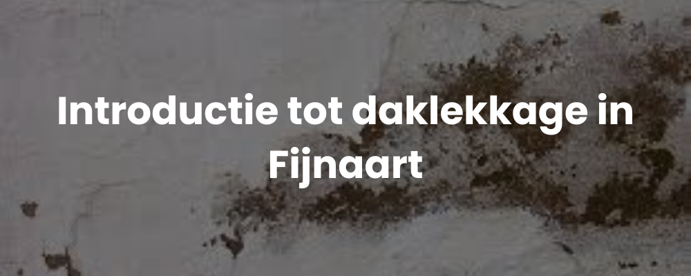 Introductie tot daklekkage in Fijnaart