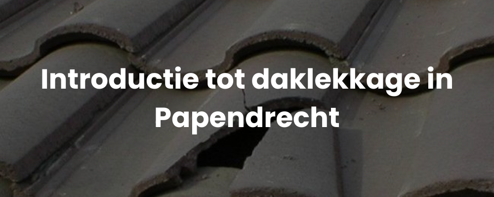 Introductie tot daklekkage in Papendrecht
