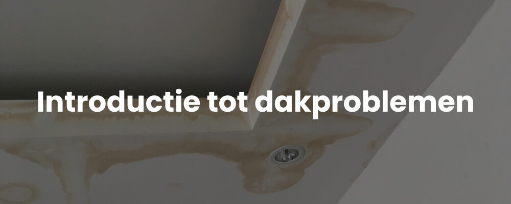 Introductie tot dakproblemen