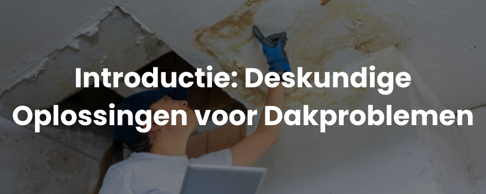 Introductie: Deskundige Oplossingen voor Dakproblemen