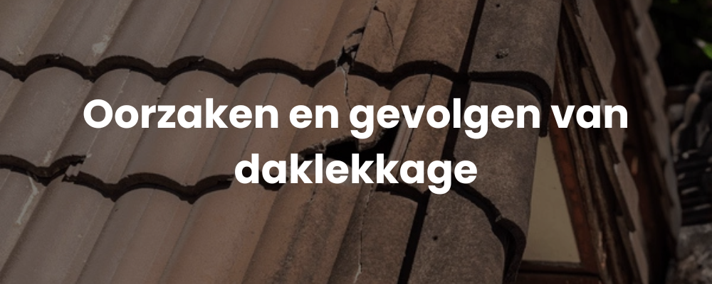 Oorzaken en gevolgen van daklekkage