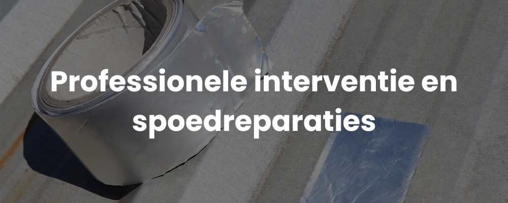 Professionele interventie en spoedreparaties