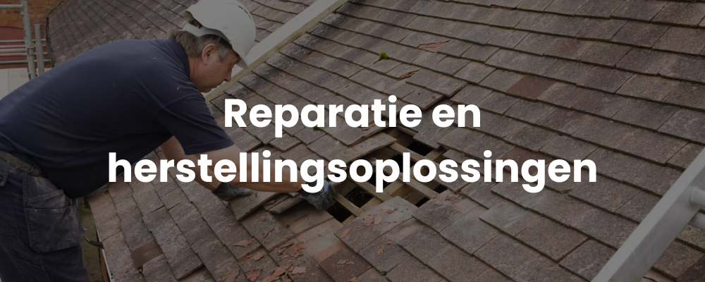Reparatie en herstellingsoplossingen