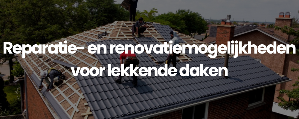 Reparatie- en renovatiemogelijkheden voor lekkende daken
