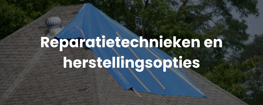 Reparatietechnieken en herstellingsopties