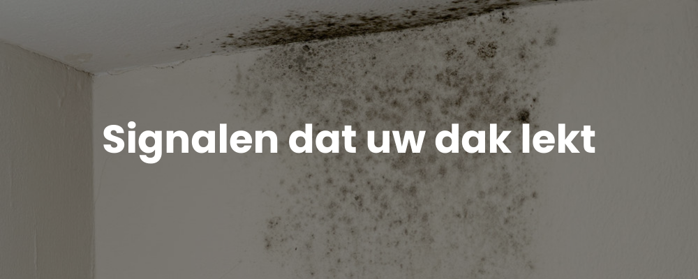 Signalen dat uw dak lekt