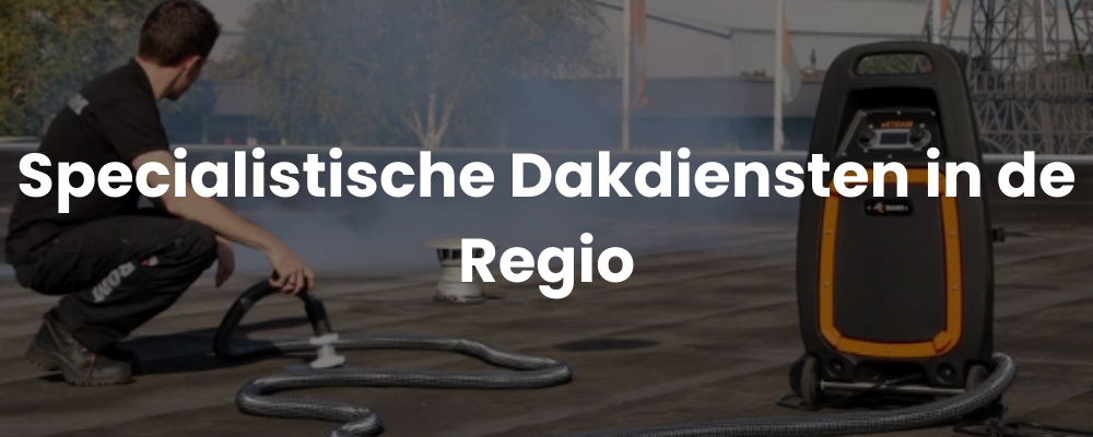 Specialistische Dakdiensten in de Regio